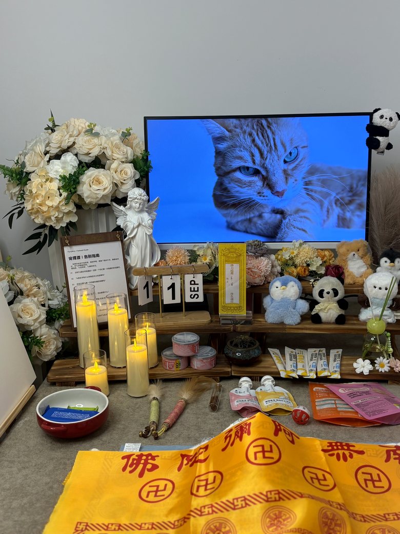 济宁宠物殡葬门店告别厅环境