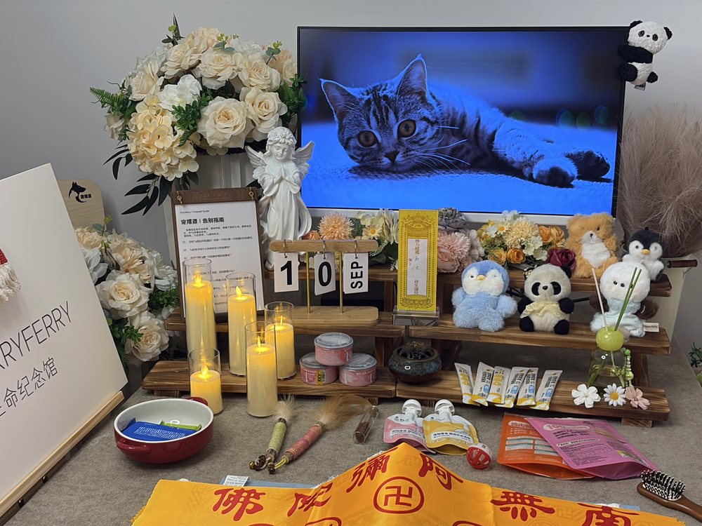 宠物告别仪式现场布置