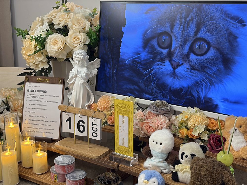 济宁宠物殡葬单独火化告别区
