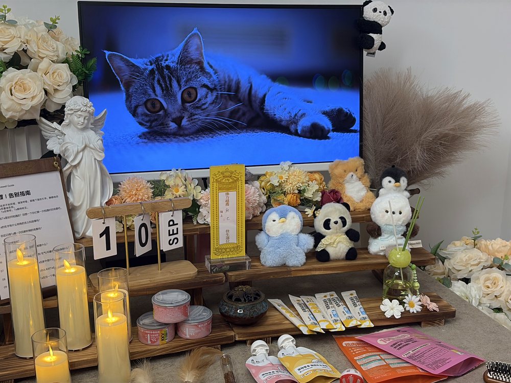 宠物骨灰交付与纪念品